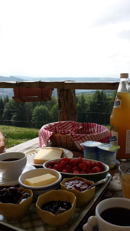 Les Grandes Fontaines Bed and Breakfast La Longine Eksteriør billede